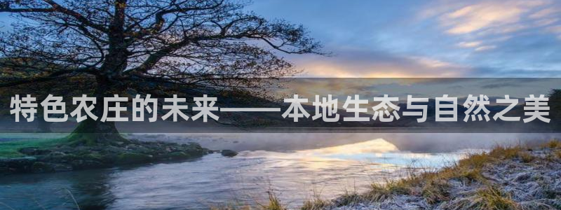 金年会这个平台