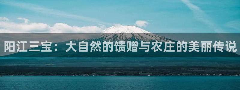 金年会18 28