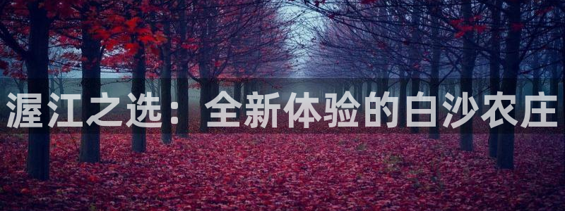 金年会是正规的吗