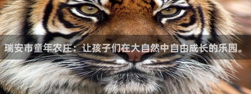 金年会app下载中国金年会