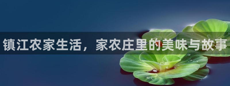 金帆年会2019