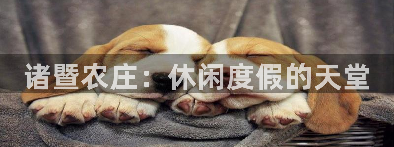 金年会平台是什么