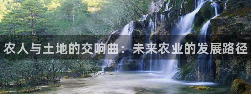 金年会平台登陆