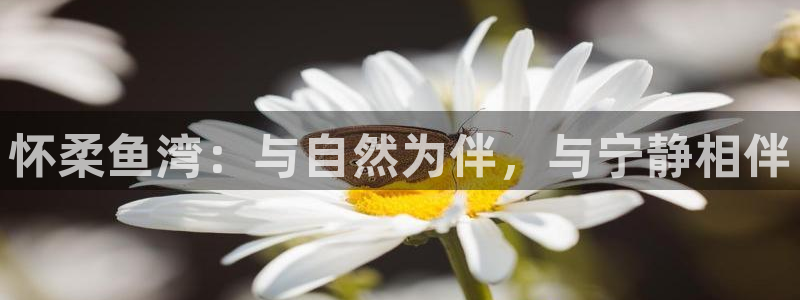 金年会登陆