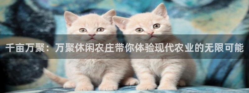 金年会最新下载