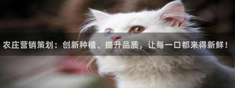 金年会官网app下载