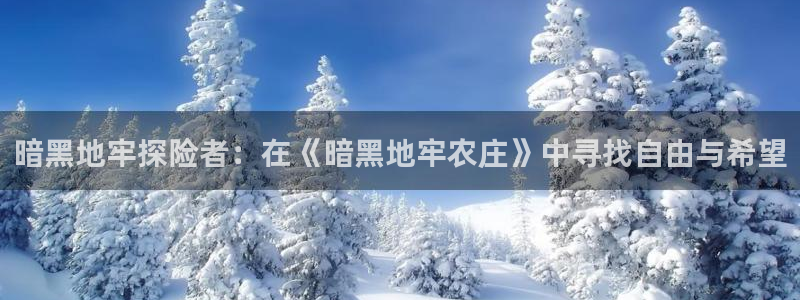 金年会app