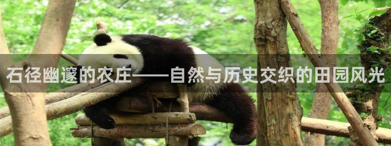 金年会官方入口