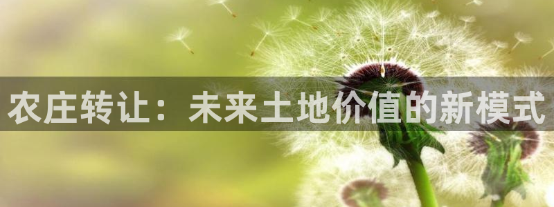 金年会电子