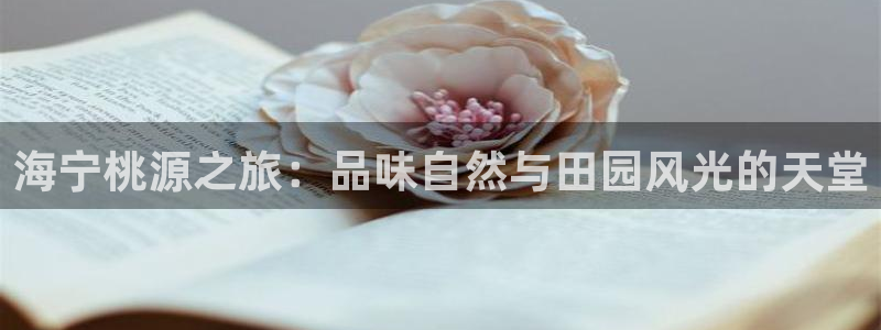 金年会 1080P