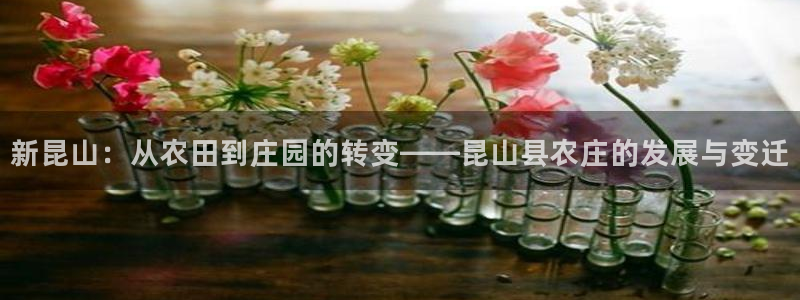 金年会官网入口