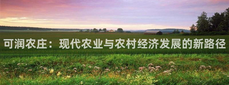 金年会网站