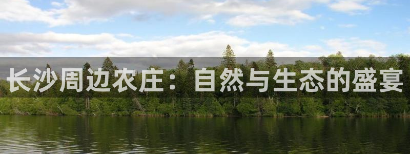 金年会黑网