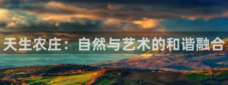 金金年会