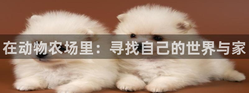 金年会是正规的吗