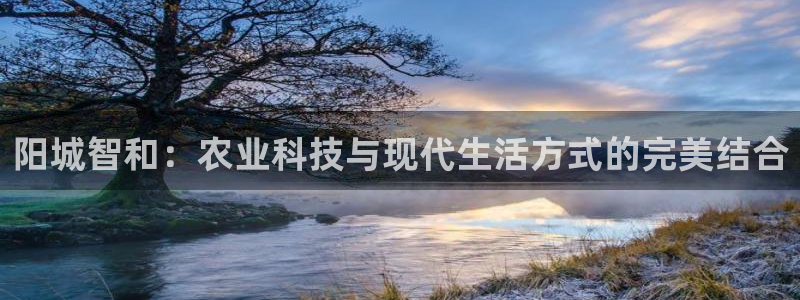 金年会体育在线入口