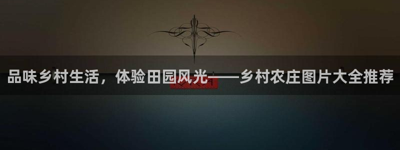 金年会体育平台入口