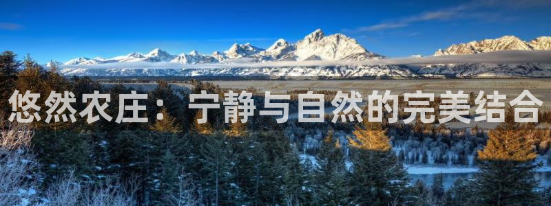 世界杯金年会app下载