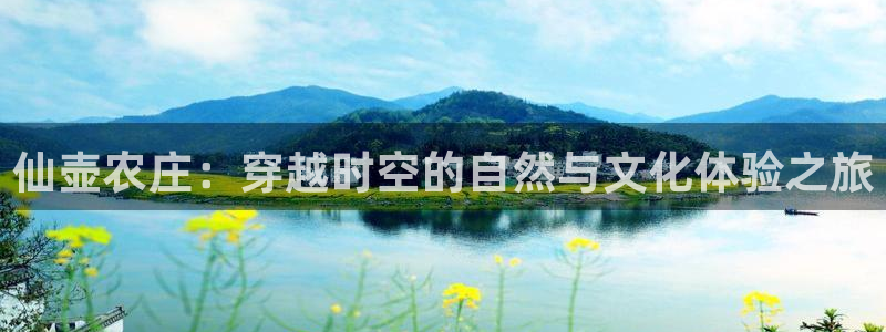 金年会平台是什么