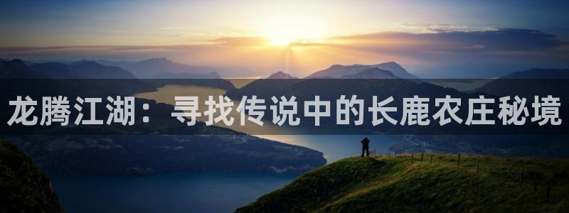 金年会平台游戏