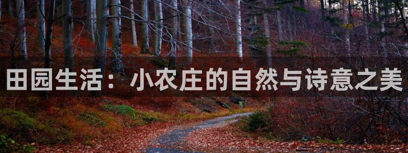金年会最新官网