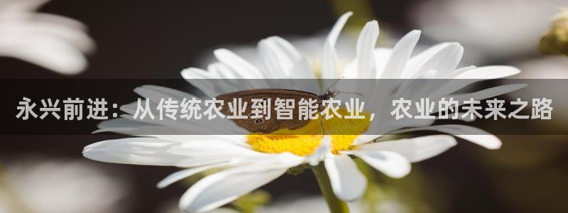 金年会金字招牌至上