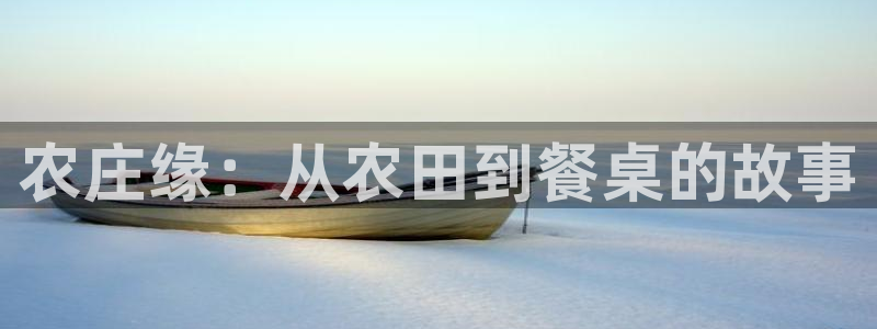 金年会官方网站入口