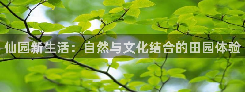 金年会全站app