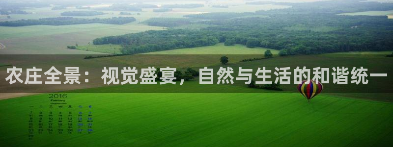 金年会平台出款