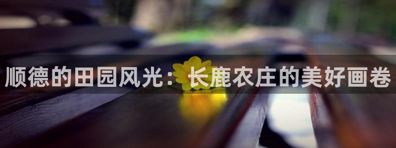 金 金年会