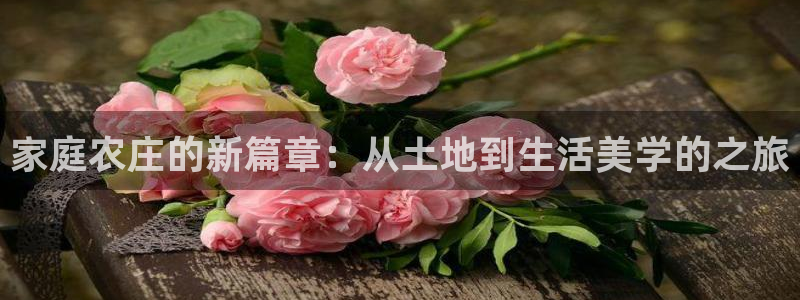 金年会101