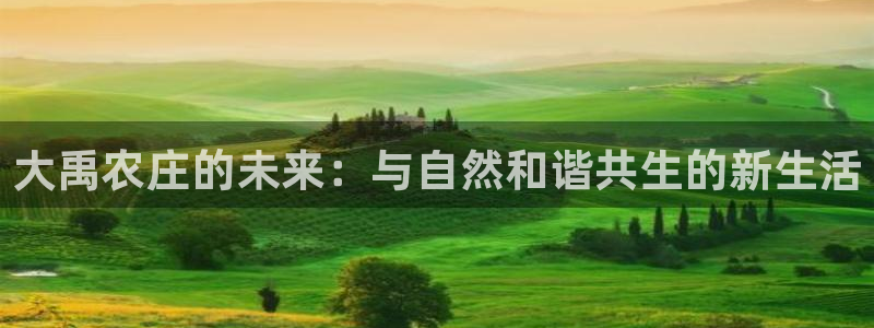 金年会原名