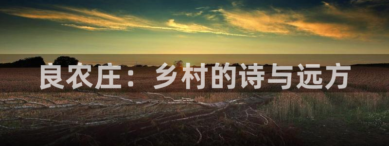金年会金字招牌信誉