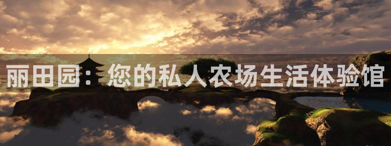 金年会平台