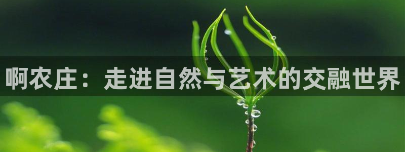 6766金年会