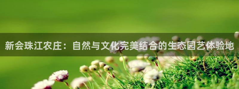 金年会官网登入