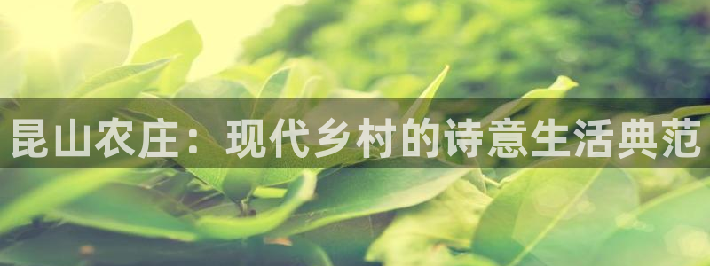 金年会赞助曼联