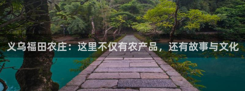 今年会金年会