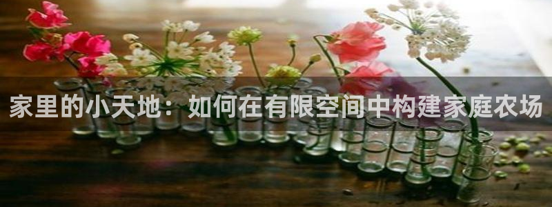 陆金所 年会