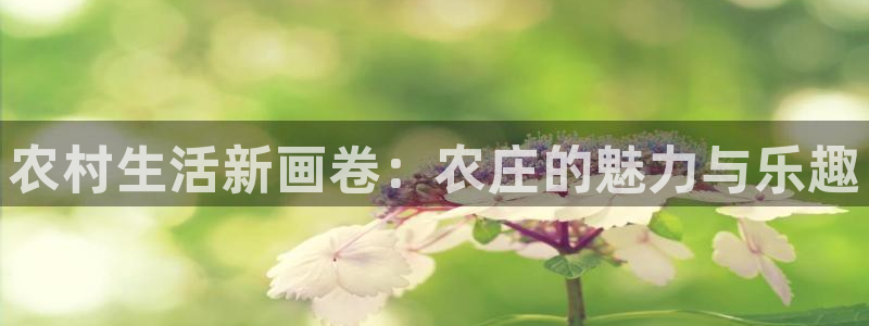 金年会app在线