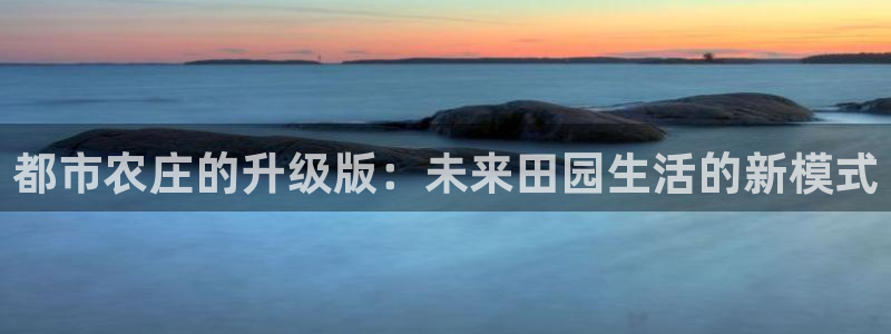 2022金年会