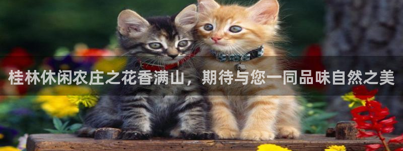 金年会app下载中国金年会