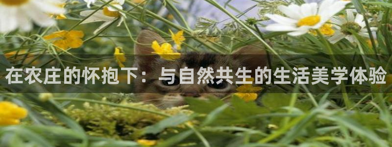 金年会体育官方
