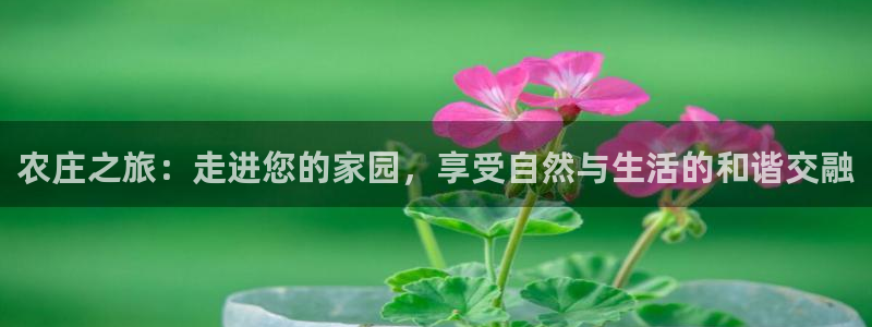金年会退款