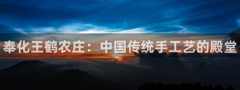 金年会娱乐app