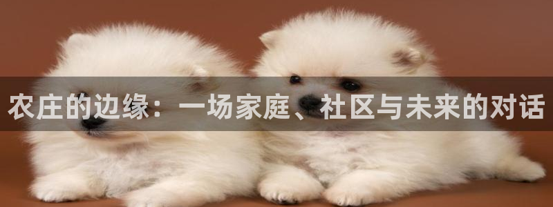 金靖年会