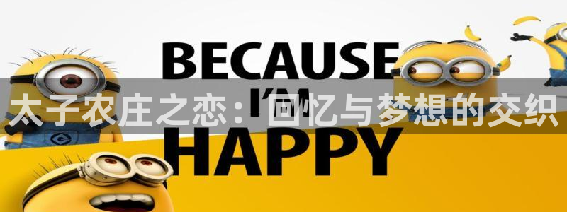 金帆年会2017