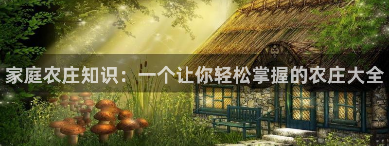 体育金年会