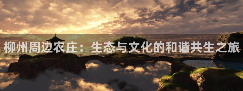 金年会原名