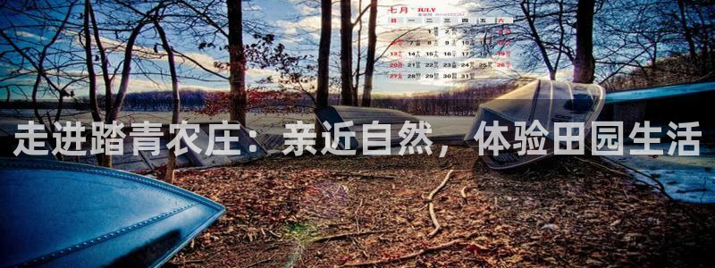金年会开户